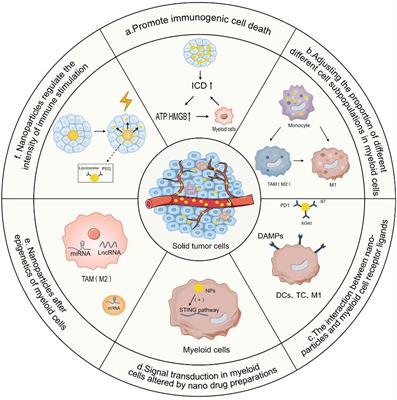 Potential targets and applications of nanodrug targeting myeloid cells in osteosarcoma for the enhancement of immunotherapy